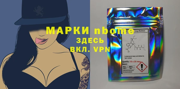 прущий лед Алзамай