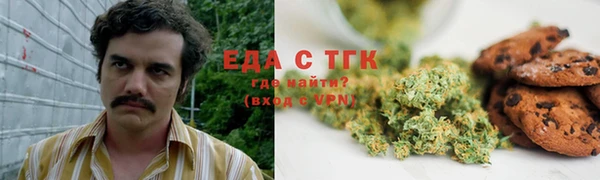прущий лед Алзамай