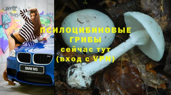 амфетамин Алексеевка