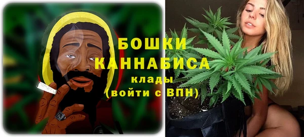 шишки Абаза