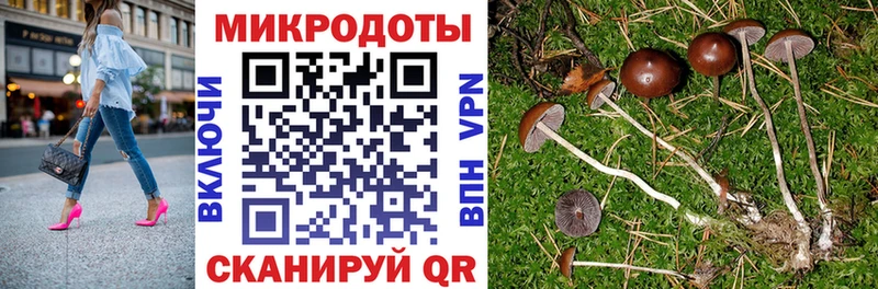 Галлюциногенные грибы GOLDEN TEACHER  даркнет как зайти  Дрезна  купить наркотик 